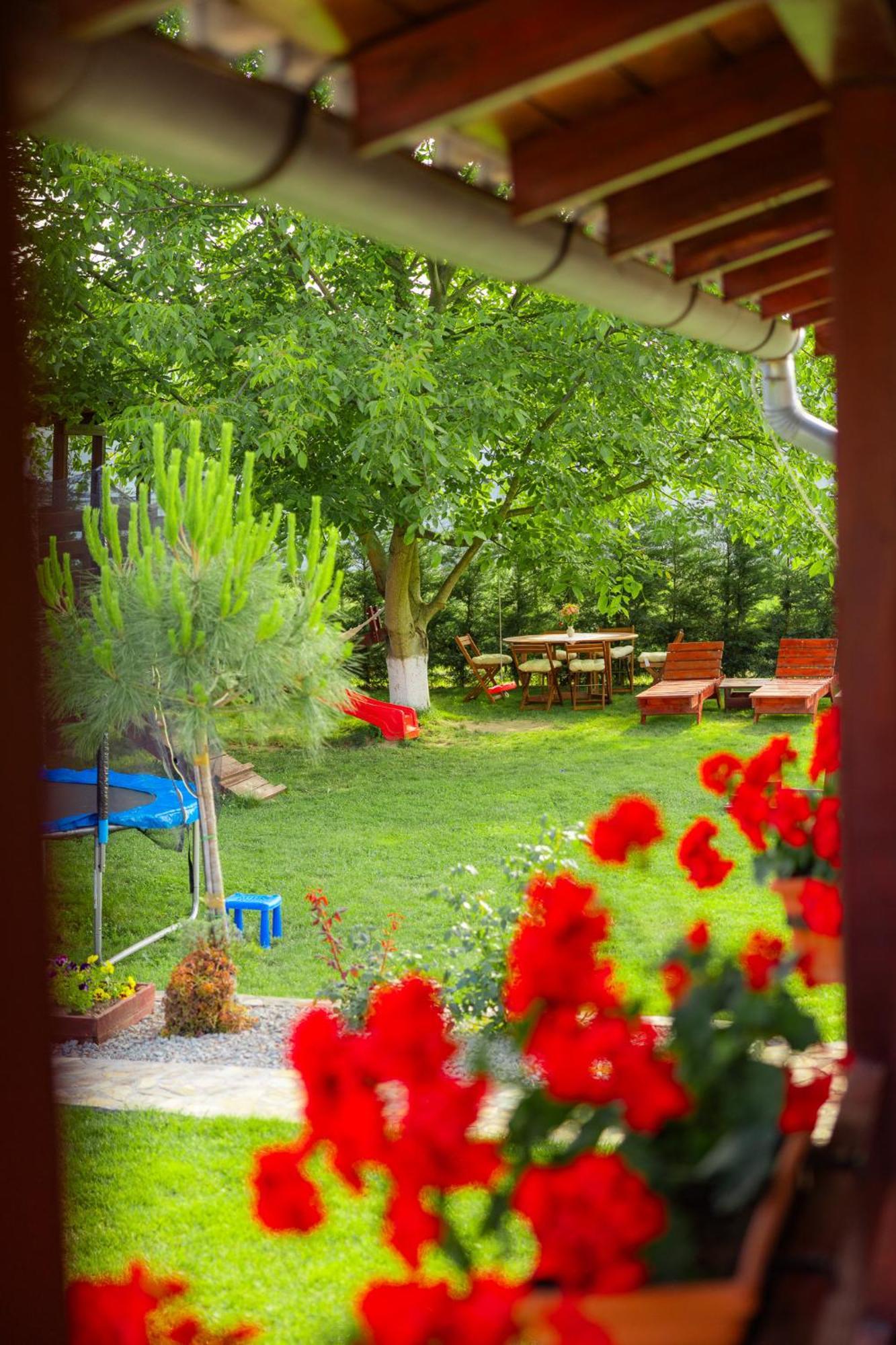 Pensiunea Regal Baile 1 Mai Exterior photo
